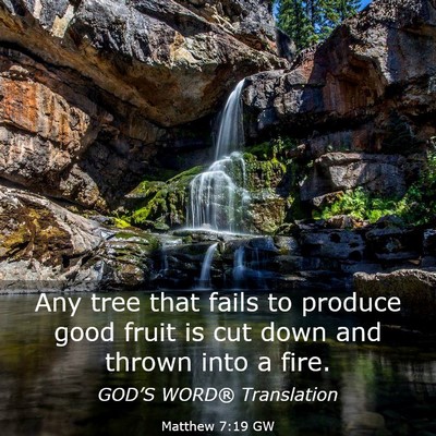 Picture 03 - Matthew 7:19 GW - Any tree that fails to produce good fruit is cut - Bible Verse Picture