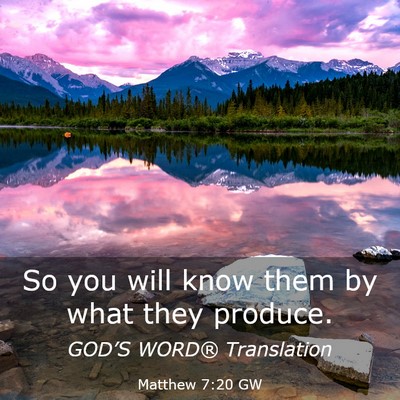 Picture 03 - Matthew 7:20 GW - So you will know them by what they - Bible Verse Picture