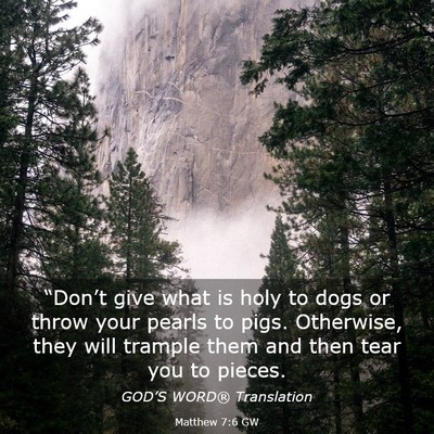 Picture 03 - Matthew 7:6 GW - “Don’t give what is holy to dogs or throw - Bible Verse Picture