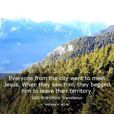 Picture 03 - Matthew 8:34 GW - Everyone from the city went to meet Jesus. When - Bible Verse Picture