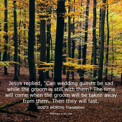 Picture 03 - Matthew 9:15 GW - Jesus replied, “Can wedding guests be sad while - Bible Verse Picture
