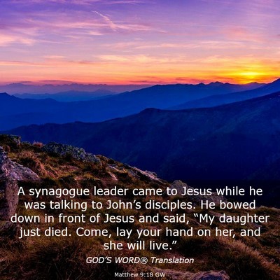 Picture 03 - Matthew 9:18 GW - A synagogue leader came to Jesus while he was - Bible Verse Picture