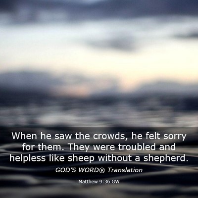Picture 03 - Matthew 9:36 GW - When he saw the crowds, he felt sorry for them. - Bible Verse Picture