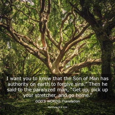 Picture 03 - Matthew 9:6 GW - I want you to know that the Son of Man has - Bible Verse Picture