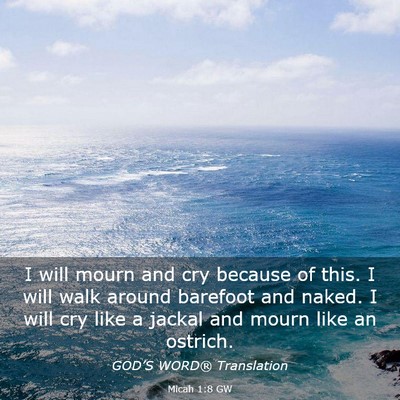 Picture 03 - Micah 1:8 GW - I will mourn and cry because of this. I will walk - Bible Verse Picture