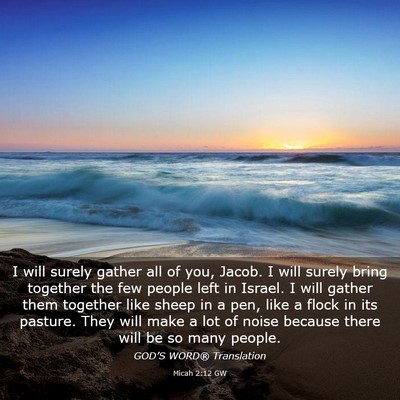 Picture 03 - Micah 2:12 GW - I will surely gather all of you, Jacob. I will - Bible Verse Picture