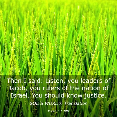 Picture 03 - Micah 3:1 GW - Then I said: Listen, you leaders of Jacob, you - Bible Verse Picture