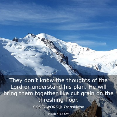 Picture 03 - Micah 4:12 GW - They don’t know the thoughts of the Lord or - Bible Verse Picture