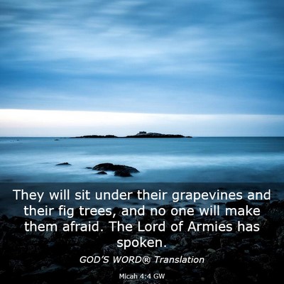 Picture 03 - Micah 4:4 GW - They will sit under their grapevines and their - Bible Verse Picture
