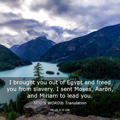 Picture 03 - Micah 6:4 GW - I brought you out of Egypt and freed you from - Bible Verse Picture