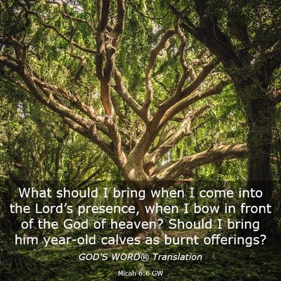 Picture 03 - Micah 6:6 GW - What should I bring when I come into the Lord’s - Bible Verse Picture