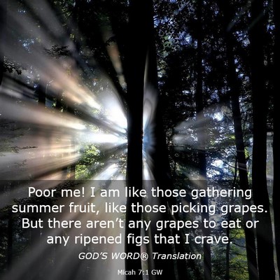 Picture 03 - Micah 7:1 GW - Poor me! I am like those gathering summer fruit, - Bible Verse Picture