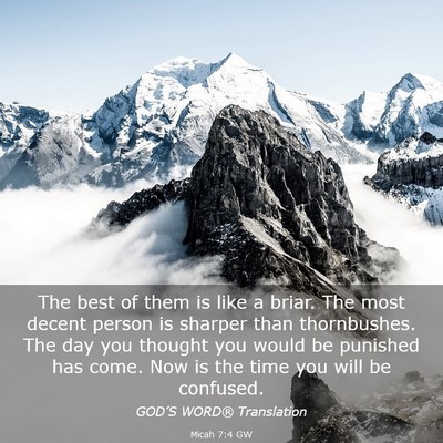 Picture 03 - Micah 7:4 GW - The best of them is like a briar. The most decent - Bible Verse Picture