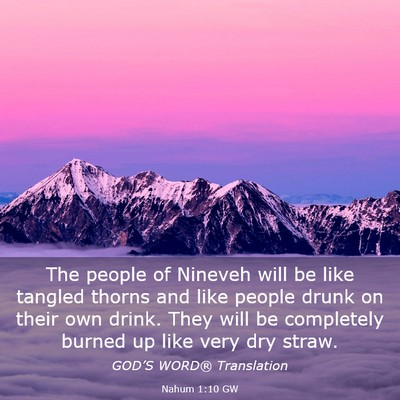 Picture 03 - Nahum 1:10 GW - The people of Nineveh will be like tangled thorns - Bible Verse Picture