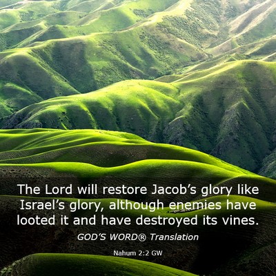Picture 03 - Nahum 2:2 GW - The Lord will restore Jacob’s glory like - Bible Verse Picture