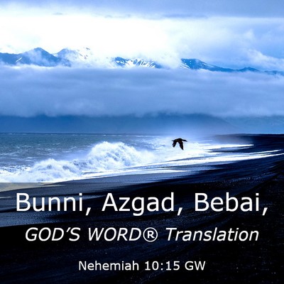 Picture 03 - Nehemiah 10:15 GW - Bunni, Azgad, - Bible Verse Picture