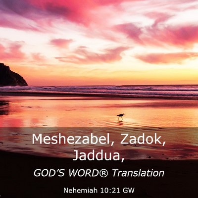 Picture 03 - Nehemiah 10:21 GW - Meshezabel, Zadok, - Bible Verse Picture