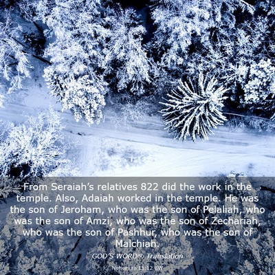Picture 03 - Nehemiah 11:12 GW - From Seraiah’s relatives 822 did the work in - Bible Verse Picture
