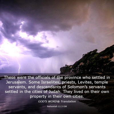 Picture 03 - Nehemiah 11:3 GW - These were the officials of the province who - Bible Verse Picture