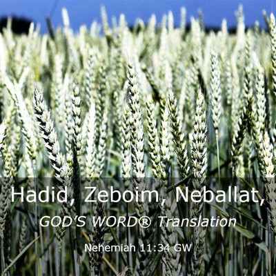Picture 03 - Nehemiah 11:34 GW - Hadid, Zeboim, - Bible Verse Picture