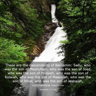 Picture 03 - Nehemiah 11:7 GW - These are the descendants of Benjamin: Sallu, who - Bible Verse Picture