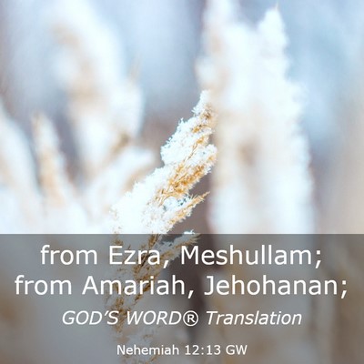 Picture 03 - Nehemiah 12:13 GW - from Ezra, Meshullam; from Amariah, - Bible Verse Picture