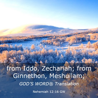 Picture 03 - Nehemiah 12:16 GW - from Iddo, Zechariah; from Ginnethon, - Bible Verse Picture