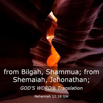 Picture 03 - Nehemiah 12:18 GW - from Bilgah, Shammua; from Shemaiah, - Bible Verse Picture