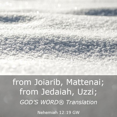 Picture 03 - Nehemiah 12:19 GW - from Joiarib, Mattenai; from Jedaiah, - Bible Verse Picture