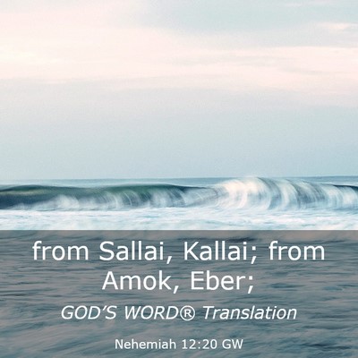Picture 03 - Nehemiah 12:20 GW - from Sallai, Kallai; from Amok, - Bible Verse Picture