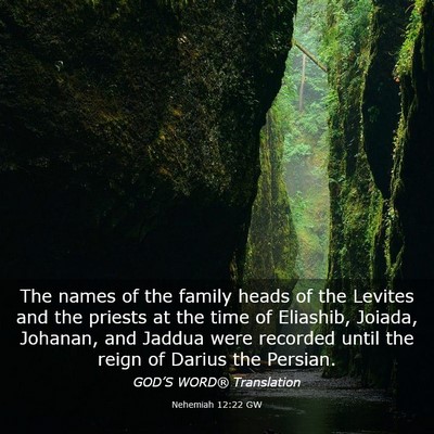 Picture 03 - Nehemiah 12:22 GW - The names of the family heads of the Levites and - Bible Verse Picture
