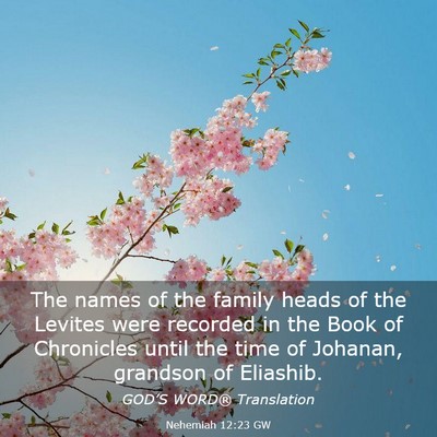 Picture 03 - Nehemiah 12:23 GW - The names of the family heads of the Levites were - Bible Verse Picture