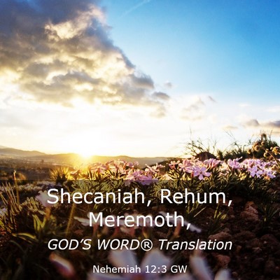 Picture 03 - Nehemiah 12:3 GW - Shecaniah, Rehum, - Bible Verse Picture