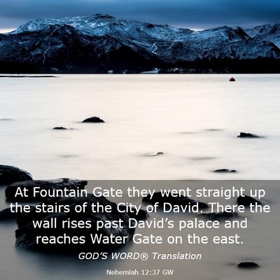Picture 03 - Nehemiah 12:37 GW - At Fountain Gate they went straight up the stairs - Bible Verse Picture