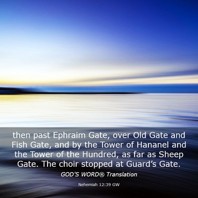 Picture 03 - Nehemiah 12:39 GW - then past Ephraim Gate, over Old Gate and Fish - Bible Verse Picture