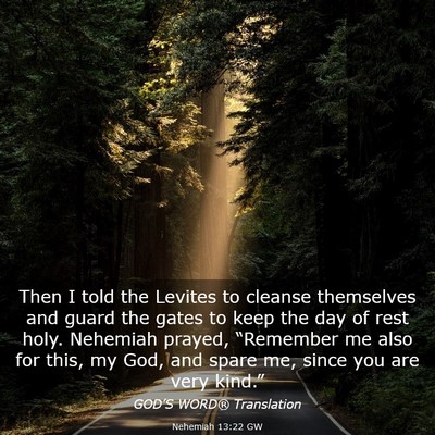 Picture 03 - Nehemiah 13:22 GW - Then I told the Levites to cleanse themselves and - Bible Verse Picture