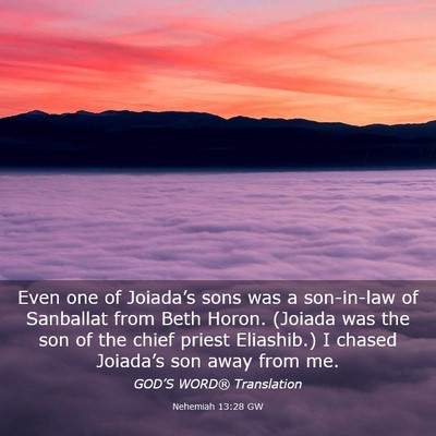 Picture 03 - Nehemiah 13:28 GW - Even one of Joiada’s sons was a son-in-law of - Bible Verse Picture