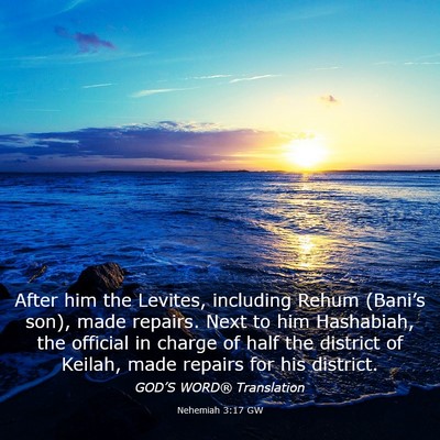 Picture 03 - Nehemiah 3:17 GW - After him the Levites, including Rehum (Bani’s - Bible Verse Picture