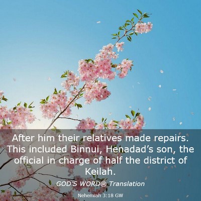 Picture 03 - Nehemiah 3:18 GW - After him their relatives made repairs. This - Bible Verse Picture