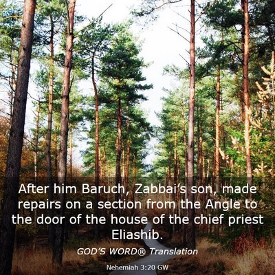 Picture 03 - Nehemiah 3:20 GW - After him Baruch, Zabbai’s son, made repairs on - Bible Verse Picture