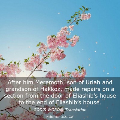 Picture 03 - Nehemiah 3:21 GW - After him Meremoth, son of Uriah and grandson of - Bible Verse Picture