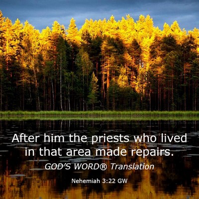 Picture 03 - Nehemiah 3:22 GW - After him the priests who lived in that area made - Bible Verse Picture