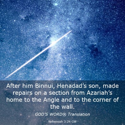 Picture 03 - Nehemiah 3:24 GW - After him Binnui, Henadad’s son, made repairs - Bible Verse Picture