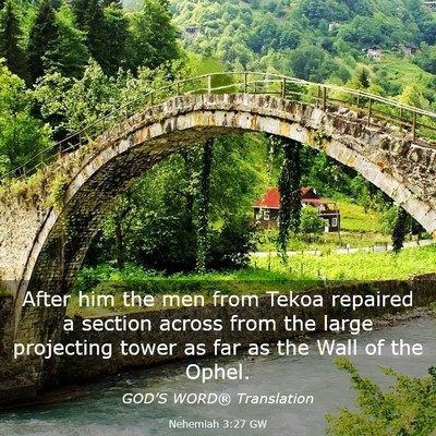 Picture 03 - Nehemiah 3:27 GW - After him the men from Tekoa repaired a section - Bible Verse Picture