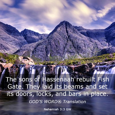 Picture 03 - Nehemiah 3:3 GW - The sons of Hassenaah rebuilt Fish Gate. They - Bible Verse Picture