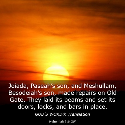 Picture 03 - Nehemiah 3:6 GW - Joiada, Paseah’s son, and Meshullam, - Bible Verse Picture