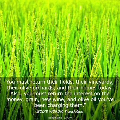 Picture 03 - Nehemiah 5:11 GW - You must return their fields, their vineyards, - Bible Verse Picture