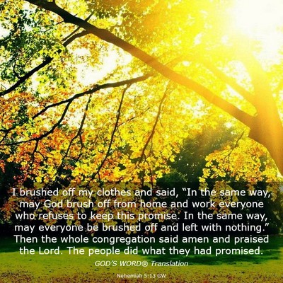 Picture 03 - Nehemiah 5:13 GW - I brushed off my clothes and said, “In the same - Bible Verse Picture