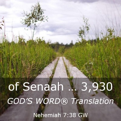 Picture 03 - Nehemiah 7:38 GW - of Senaah … - Bible Verse Picture