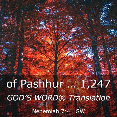 Picture 03 - Nehemiah 7:41 GW - of Pashhur … - Bible Verse Picture
